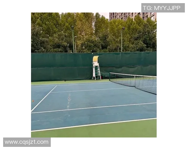 杨磊亲授网球技巧与心得助你提升球技的独特体验分享