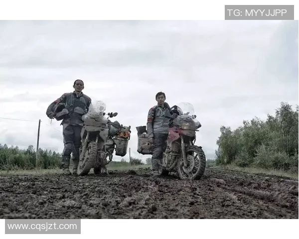 深度探讨陈强羽毛球生涯的辉煌与挑战之路